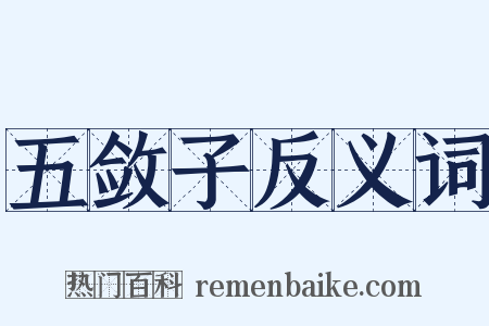 五敛子反义词是什么意思的图片